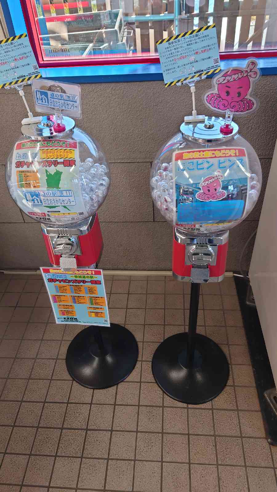 投稿された画像