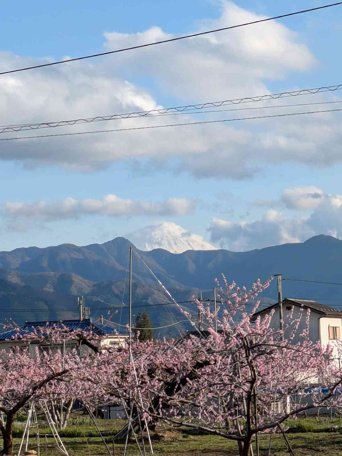 道の駅 日立おさかなセンターの写真