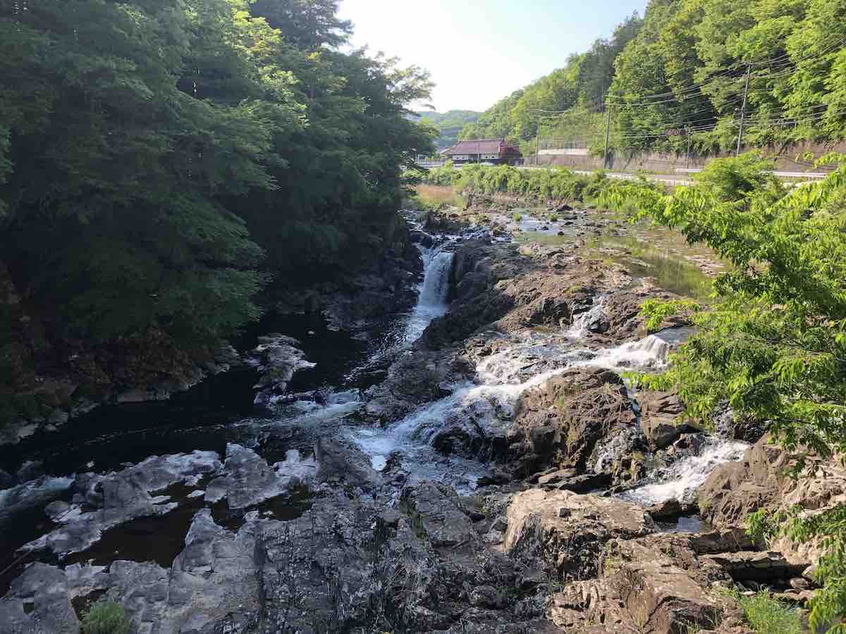 投稿された画像