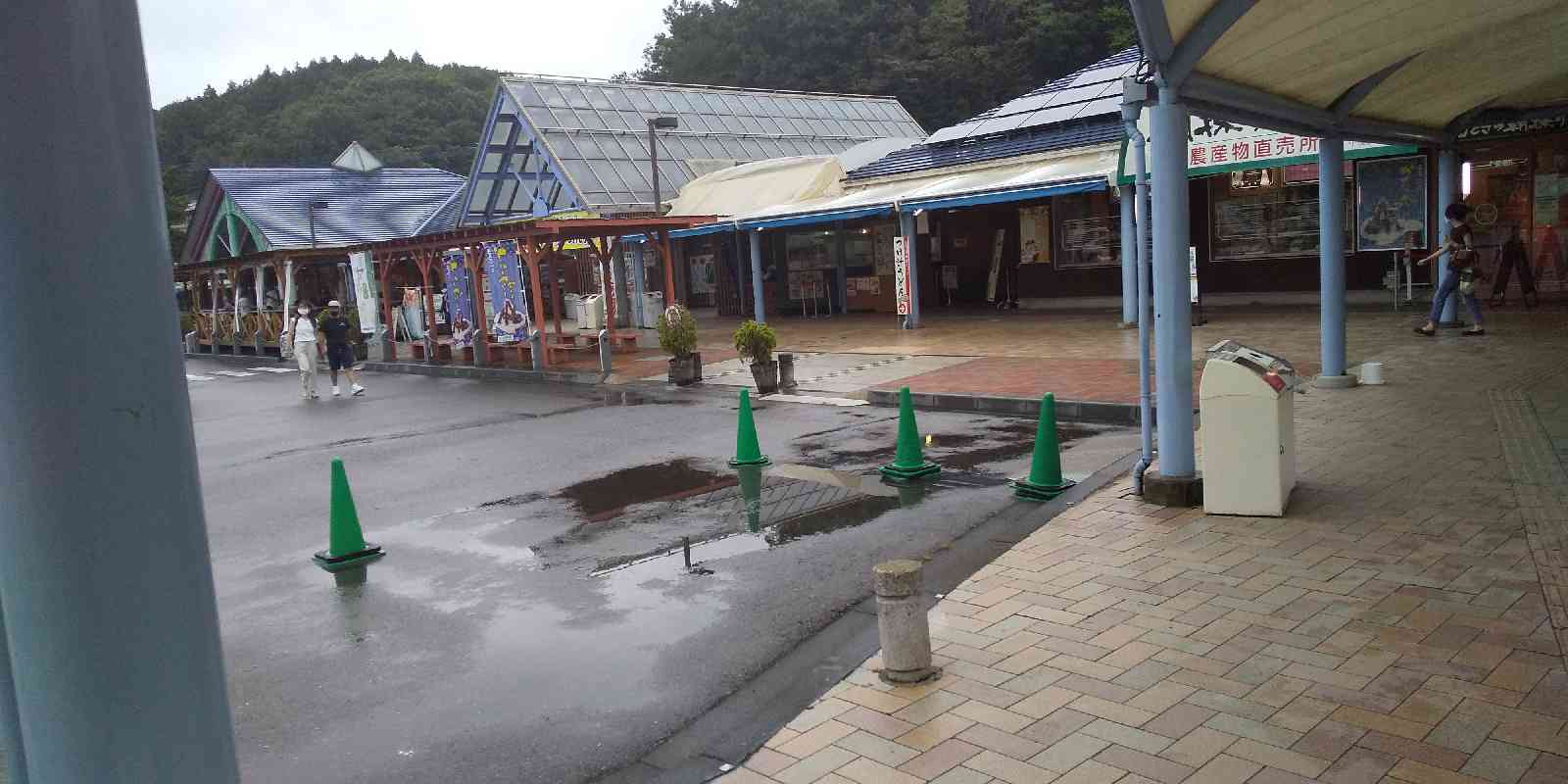 投稿された画像