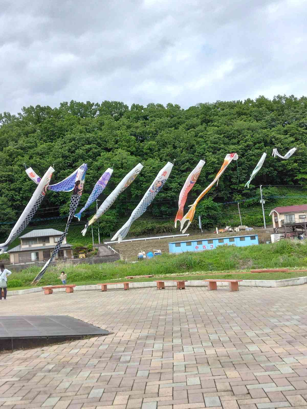 投稿された画像