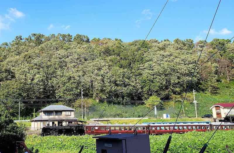 投稿された画像