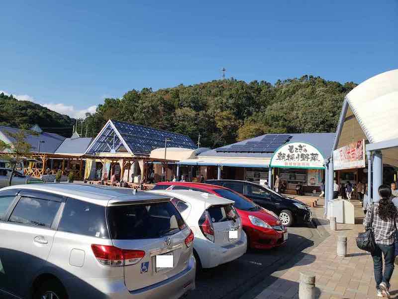 投稿された画像