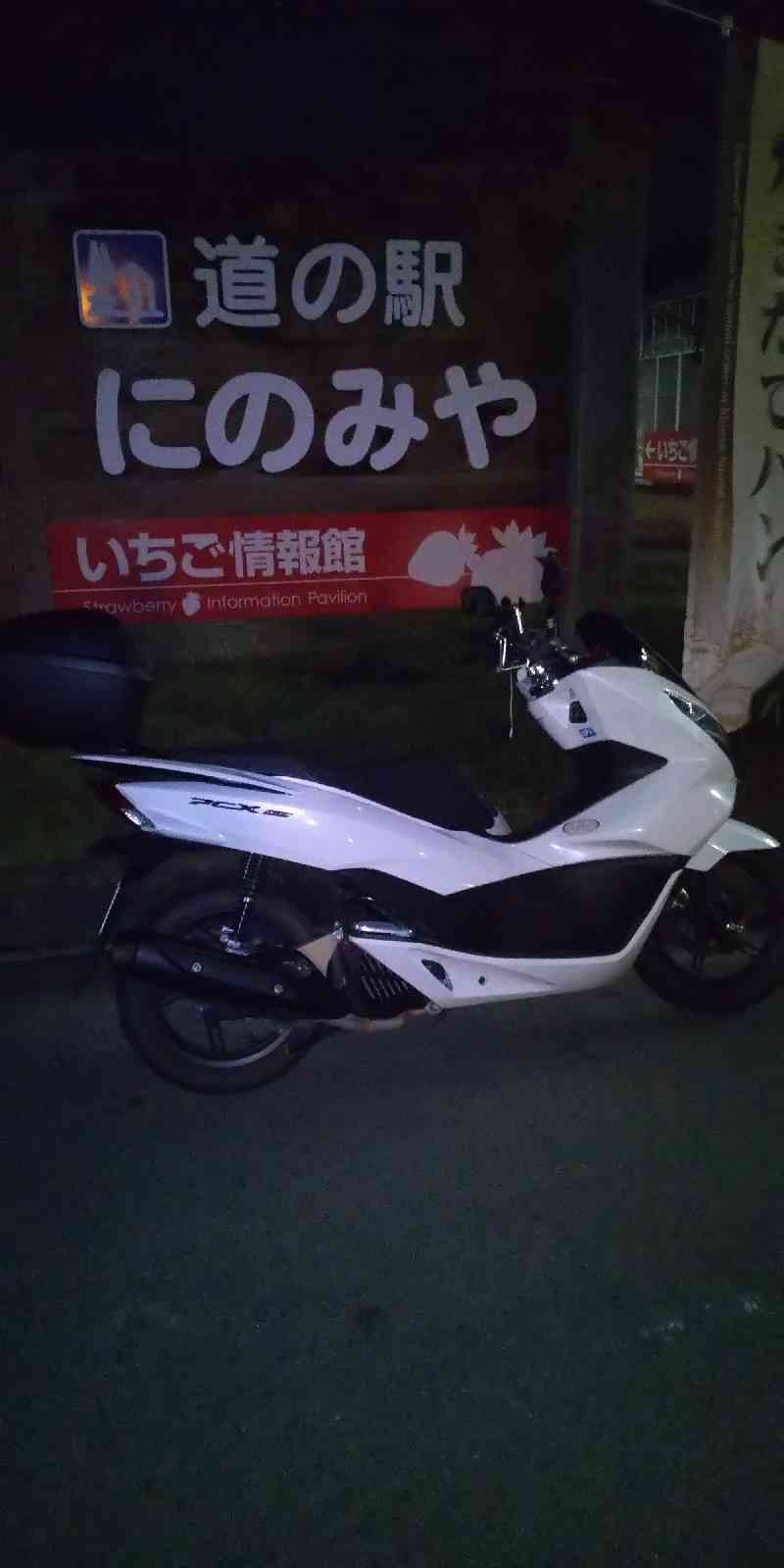 投稿された画像