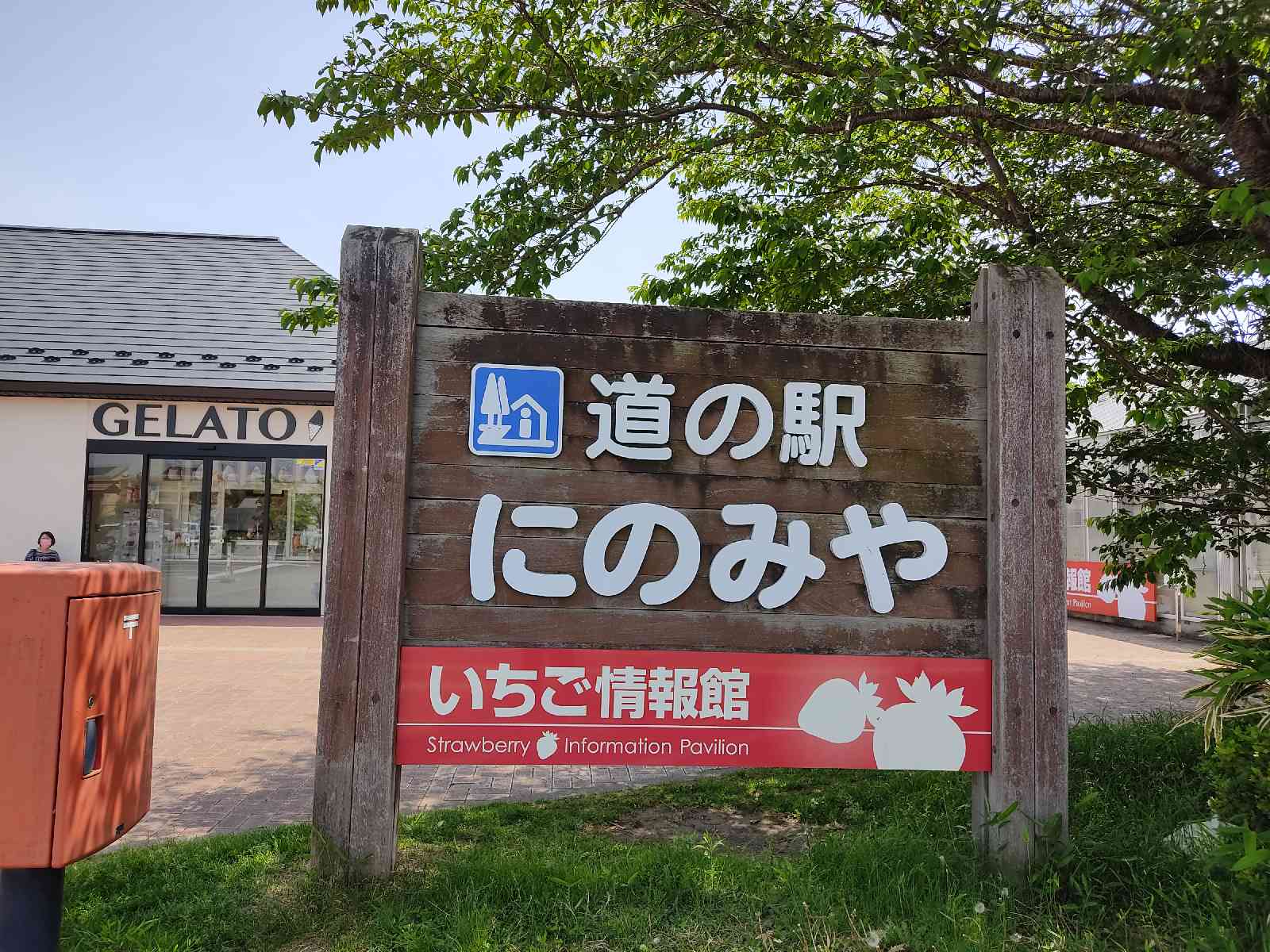 投稿された画像