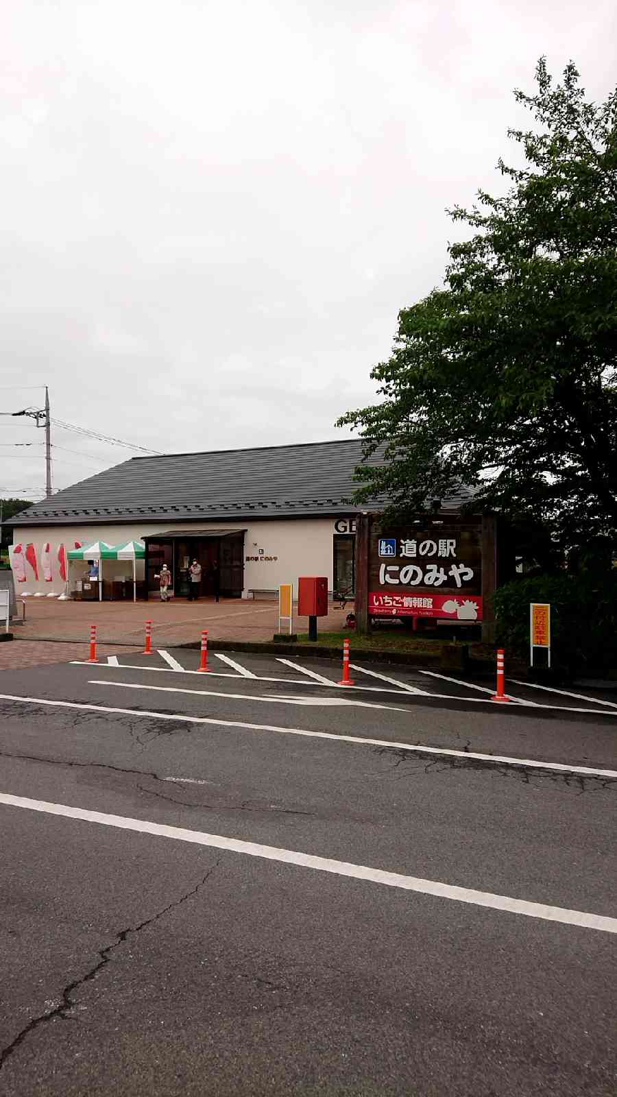投稿された画像