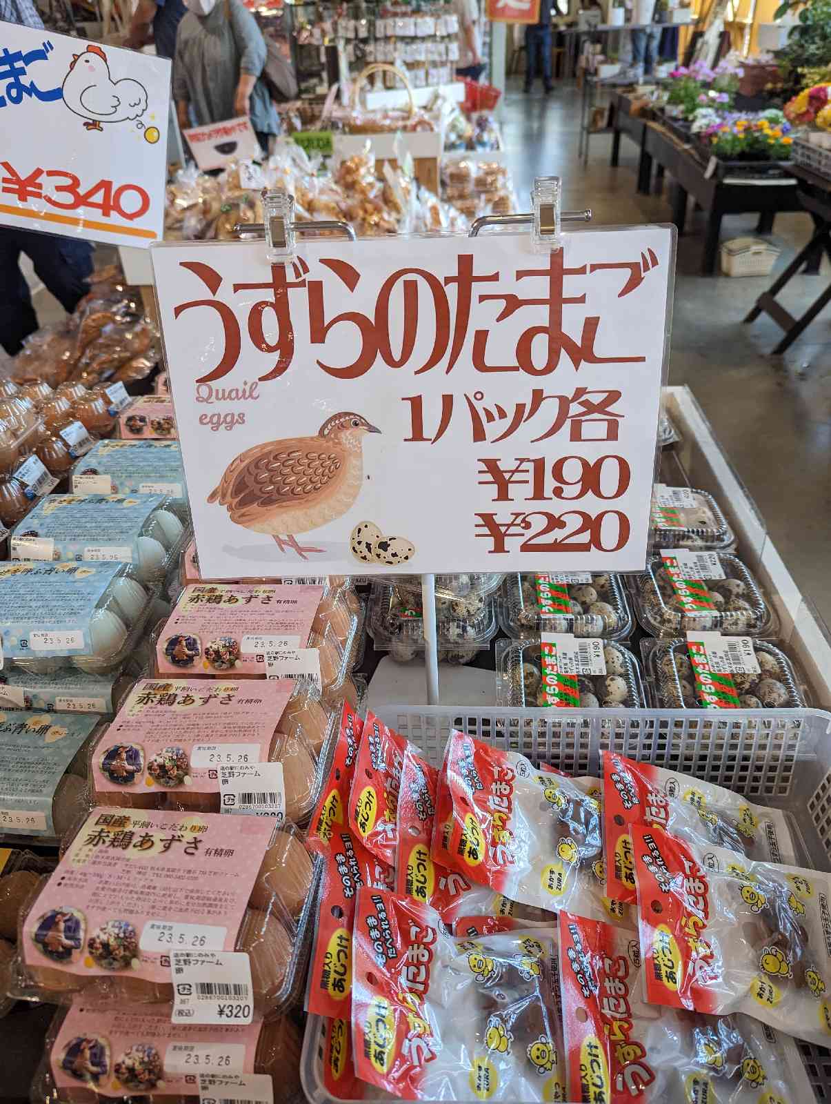 投稿された画像