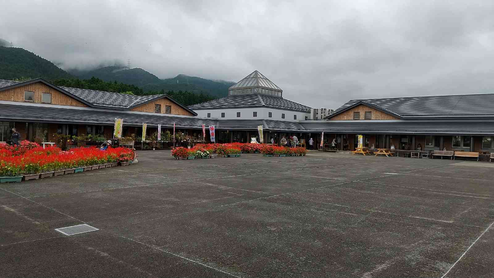 投稿された画像