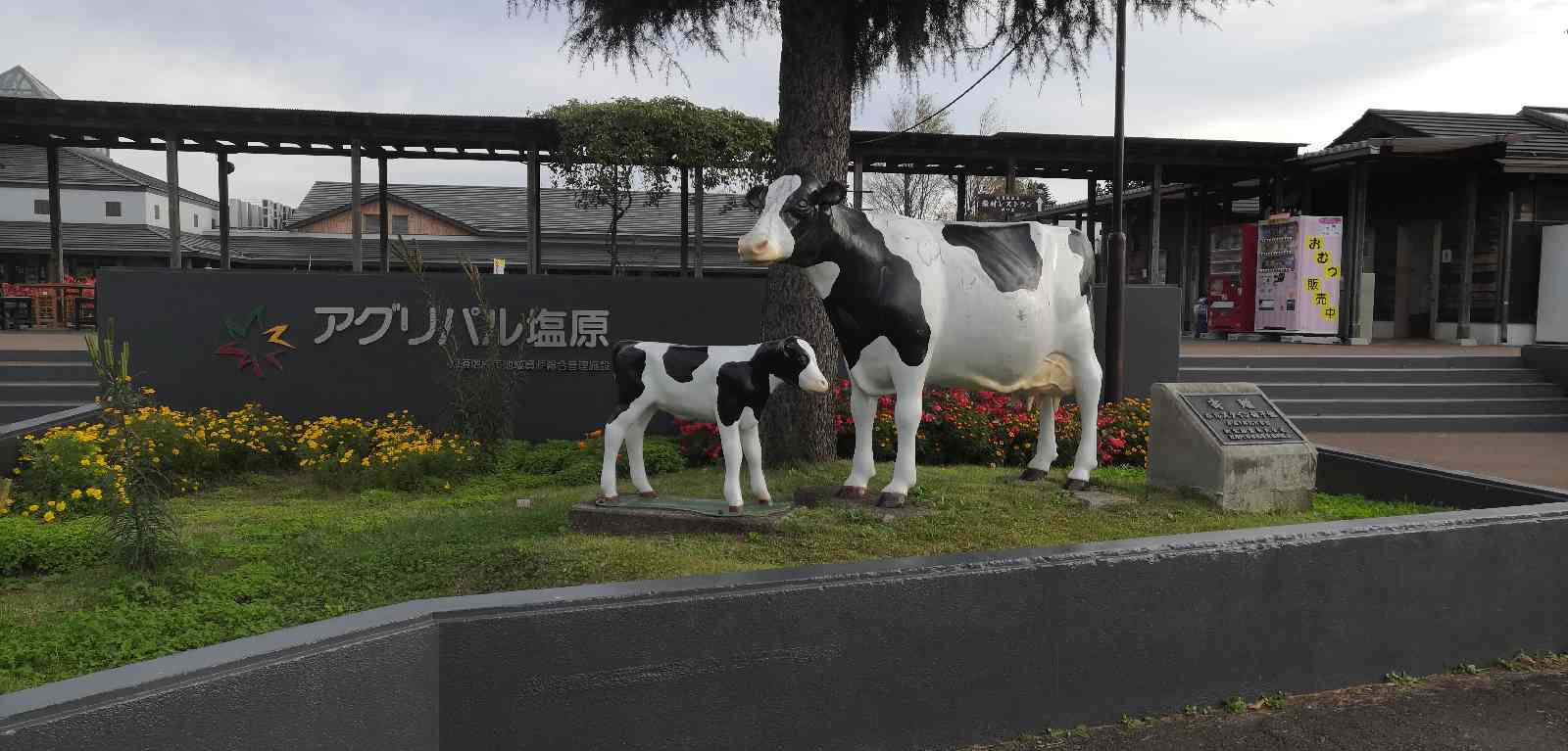 投稿された画像