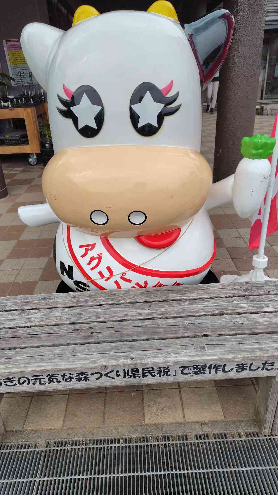 道の駅 湯の香しおばらの写真