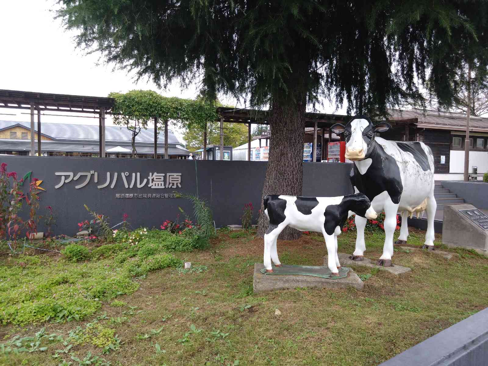 道の駅 湯の香しおばらの写真
