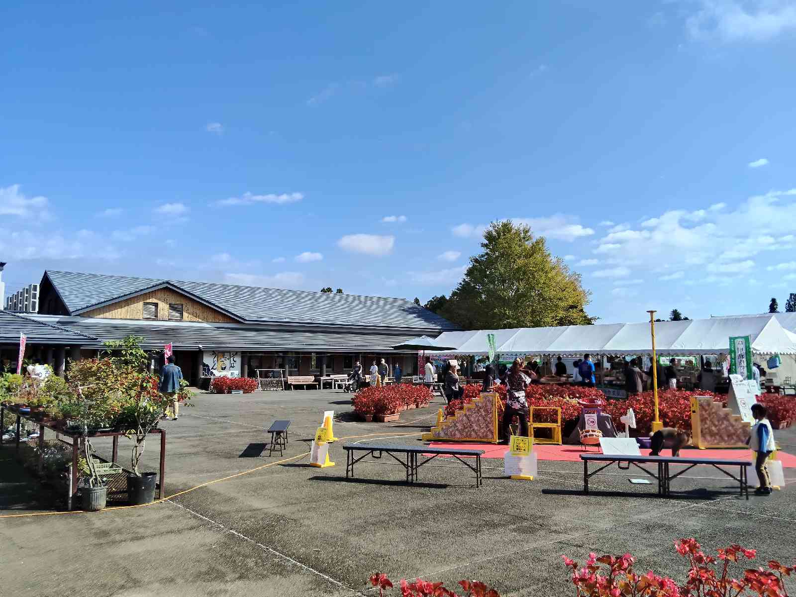 道の駅 湯の香しおばらの写真