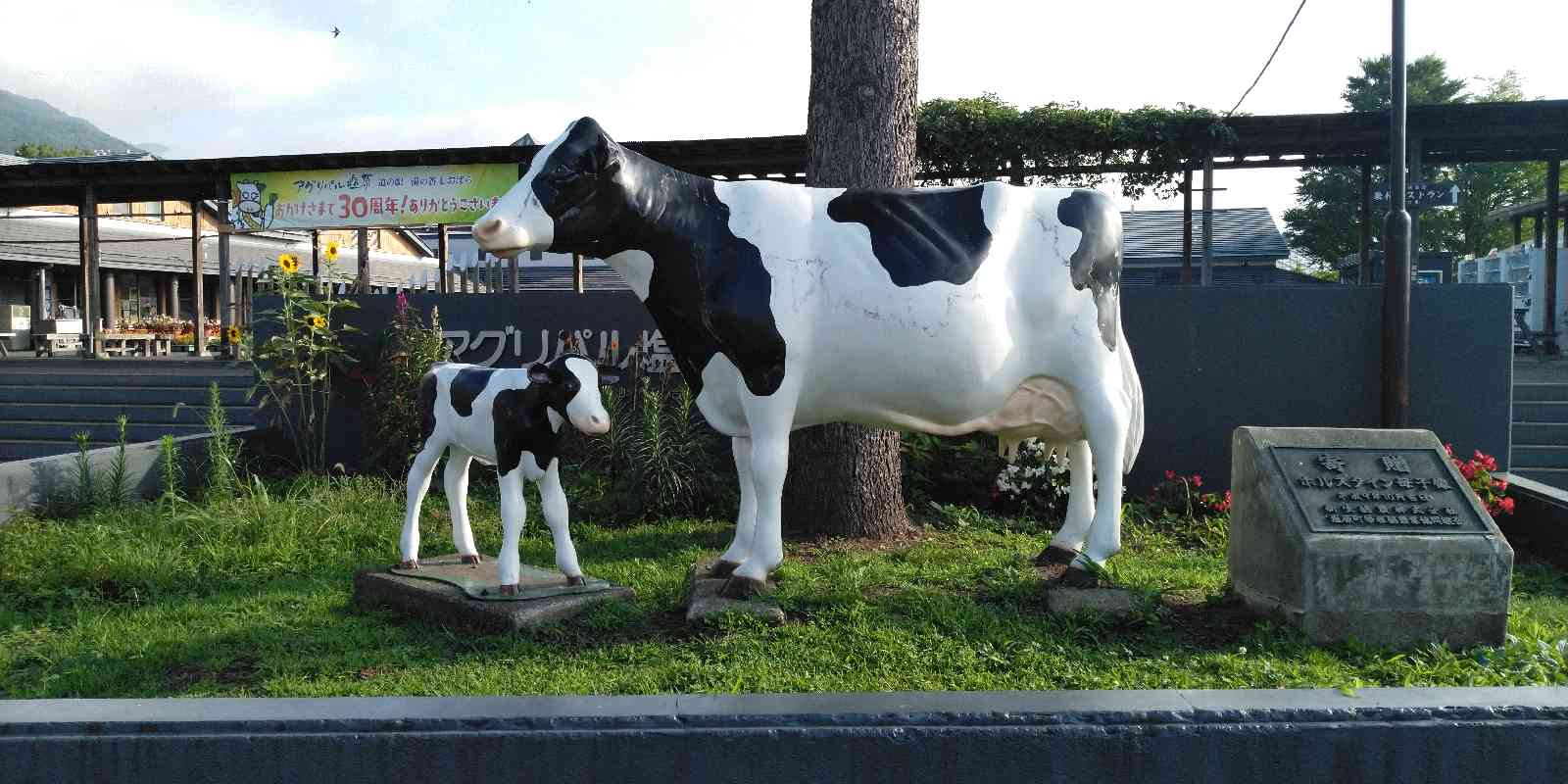 道の駅 湯の香しおばらの写真