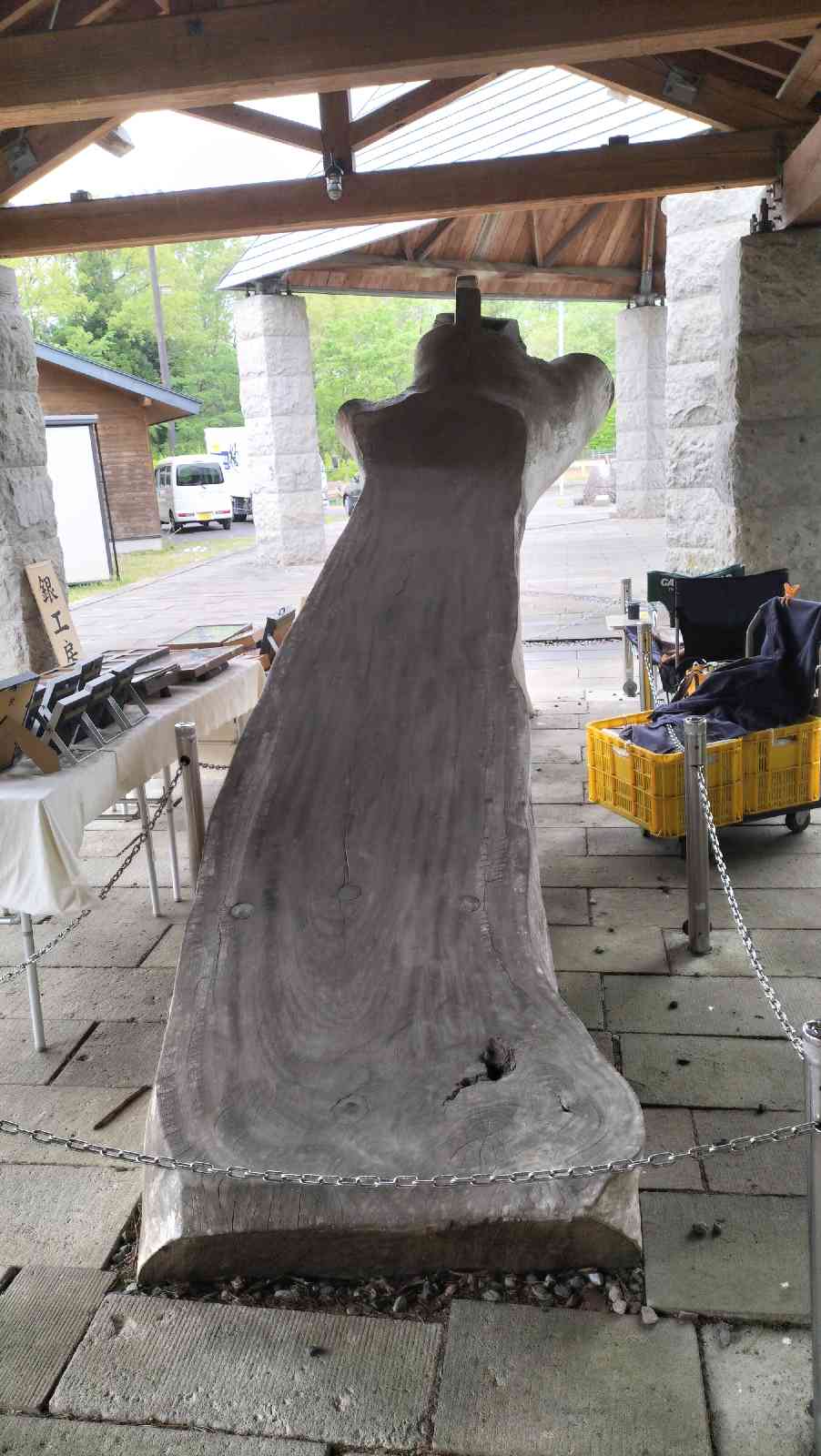 投稿された画像