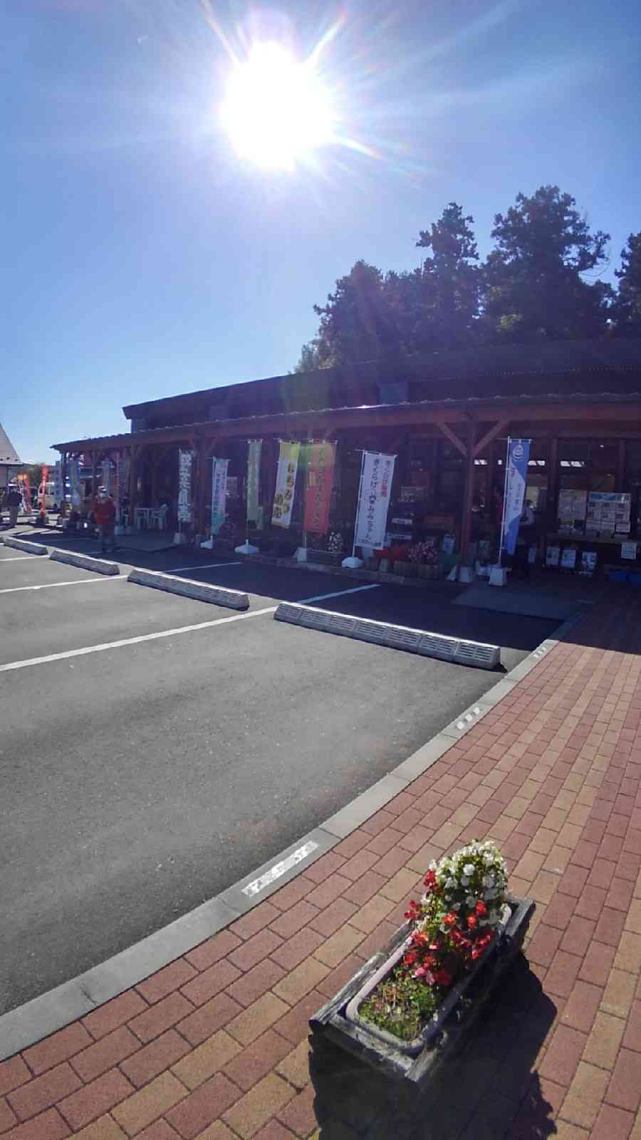 投稿された画像