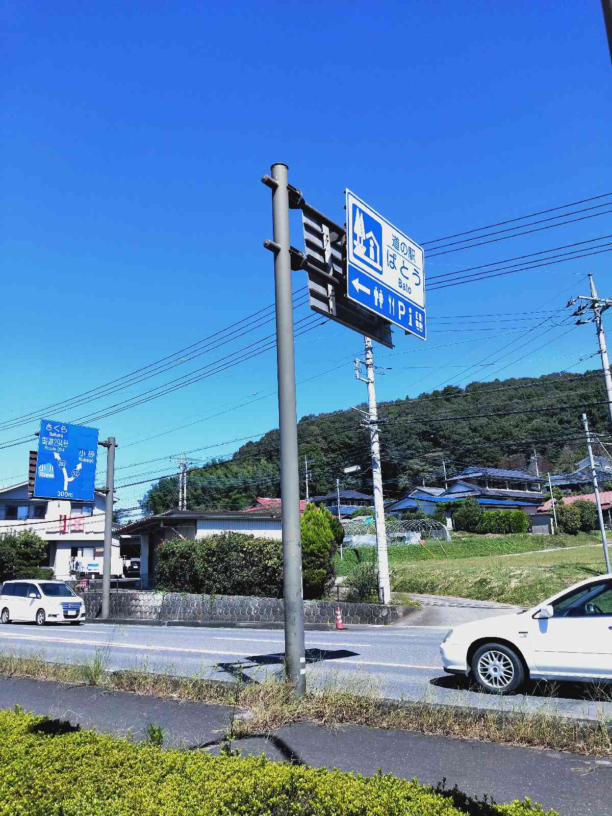 投稿された画像