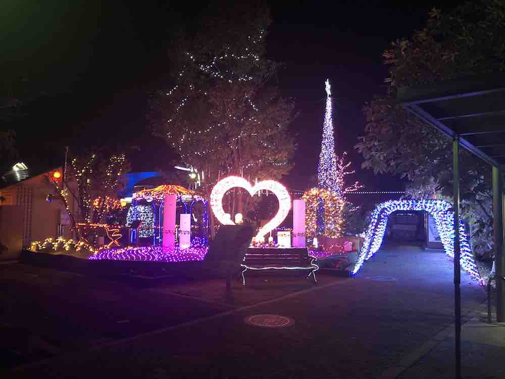 投稿された画像