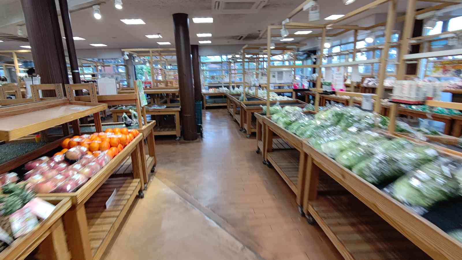 投稿された画像