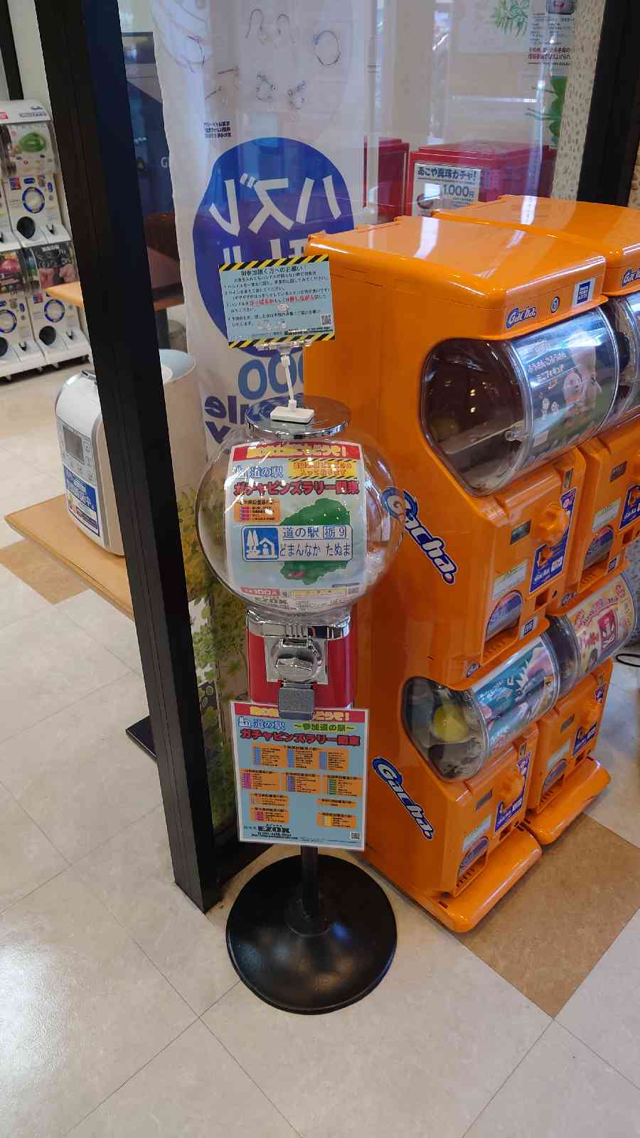 投稿された画像