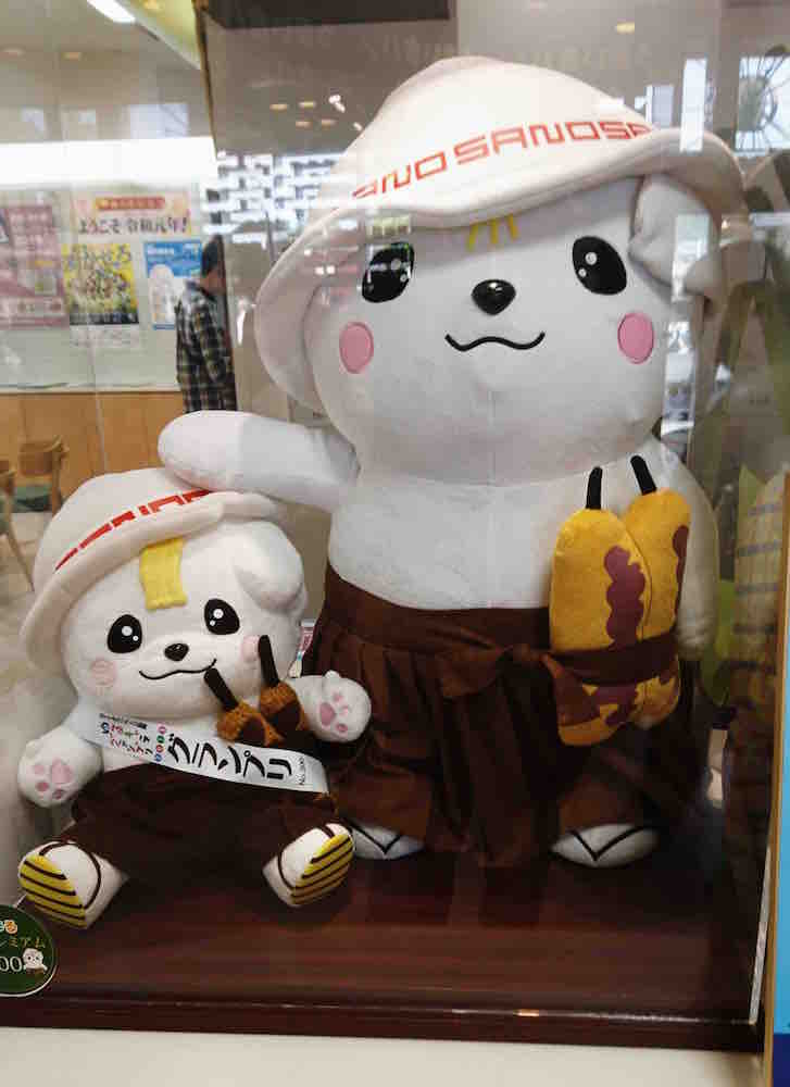 投稿された画像