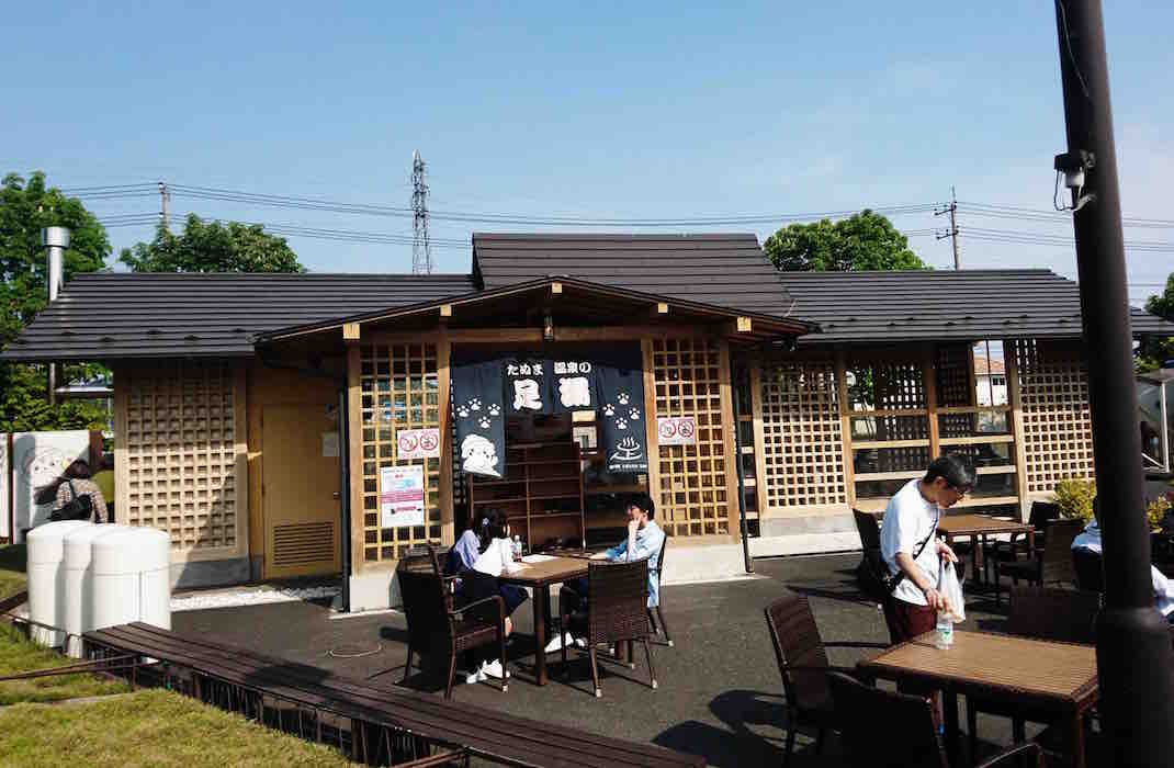 投稿された画像