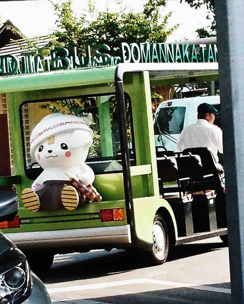 投稿された画像