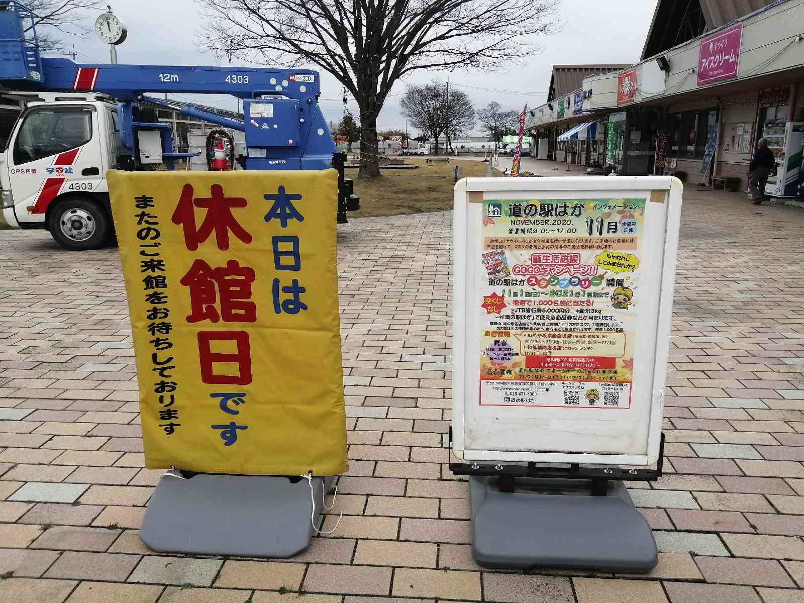 投稿された画像