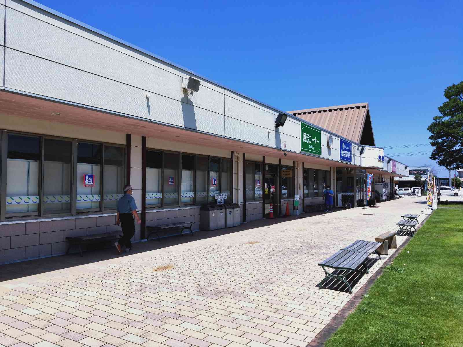 投稿された画像