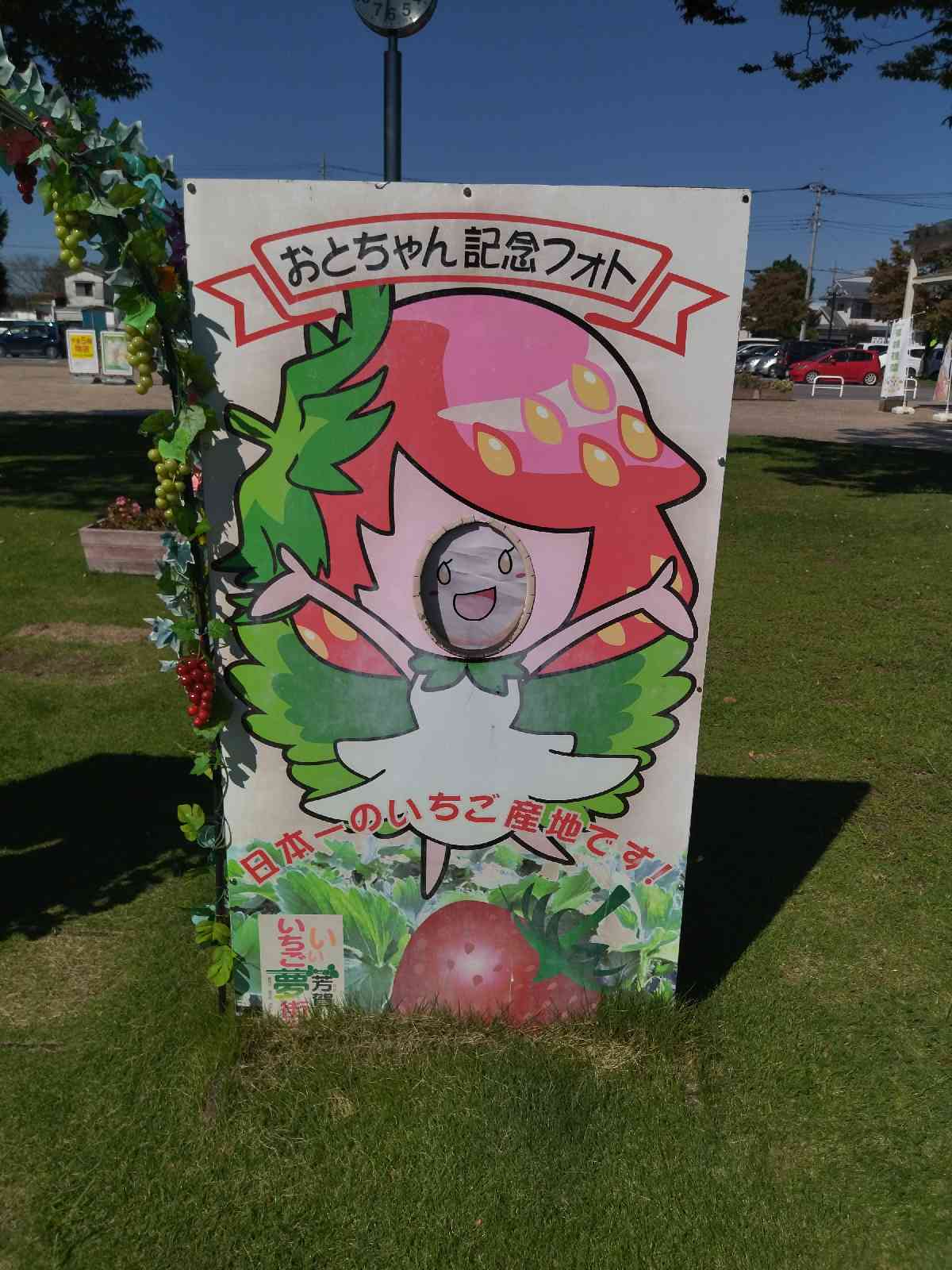 投稿された画像