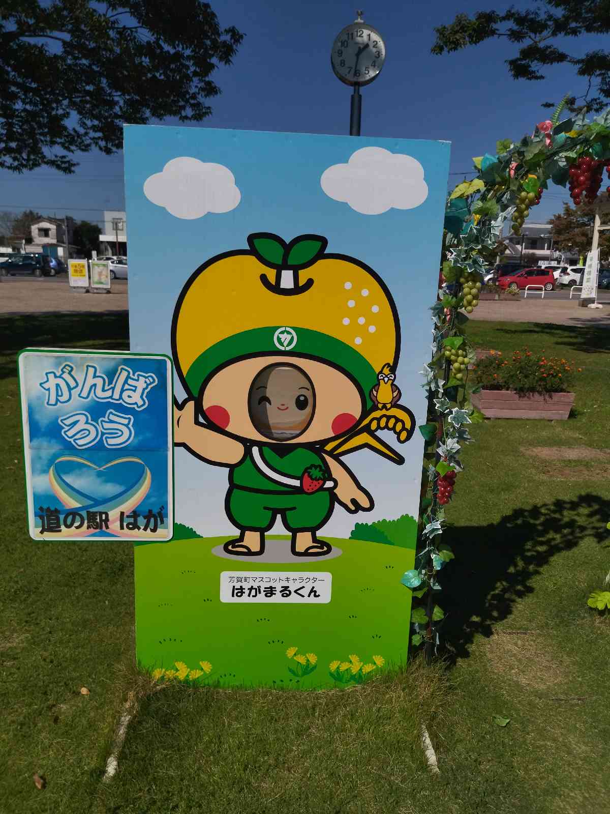 投稿された画像