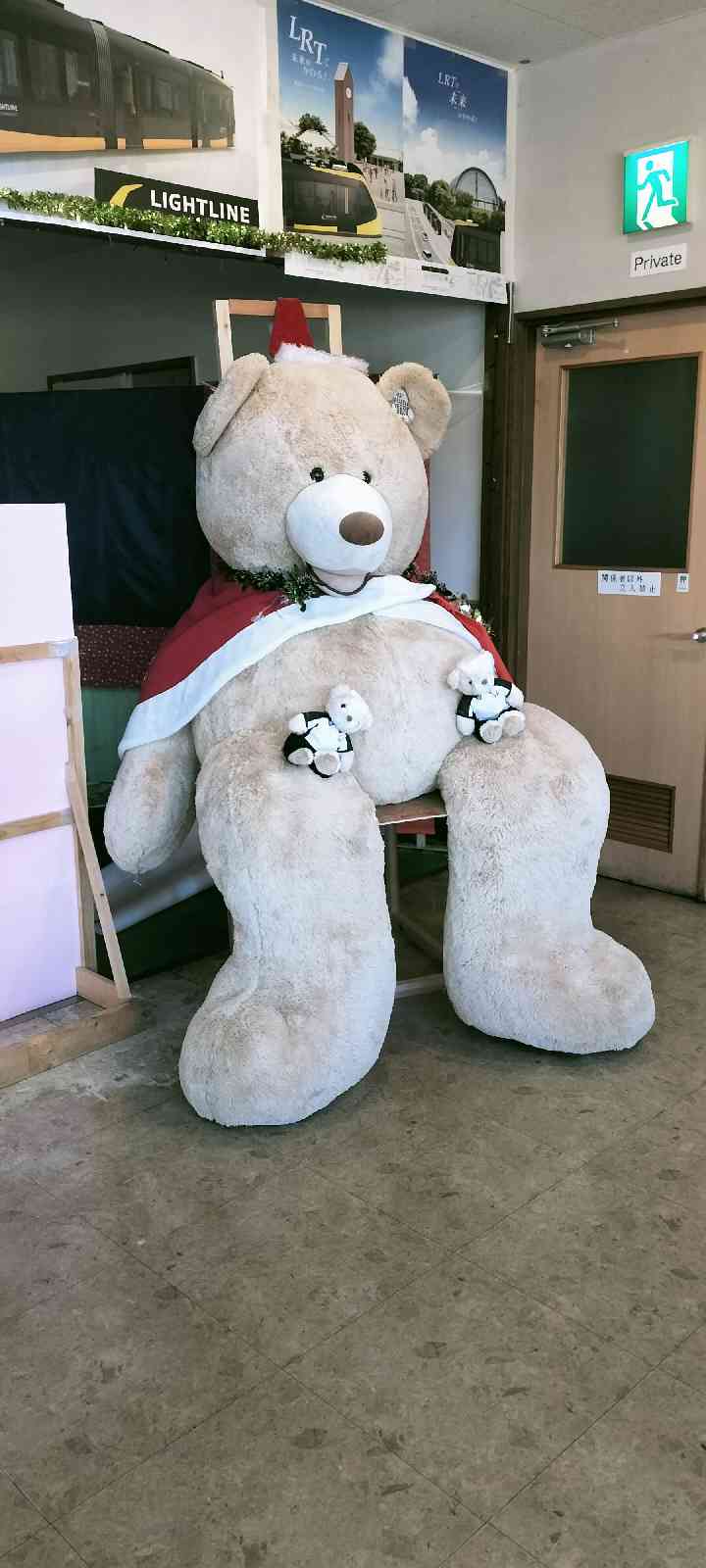 投稿された画像