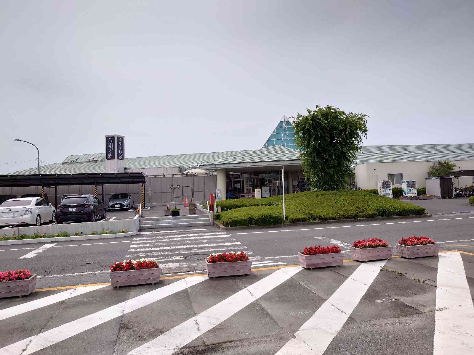 投稿された画像