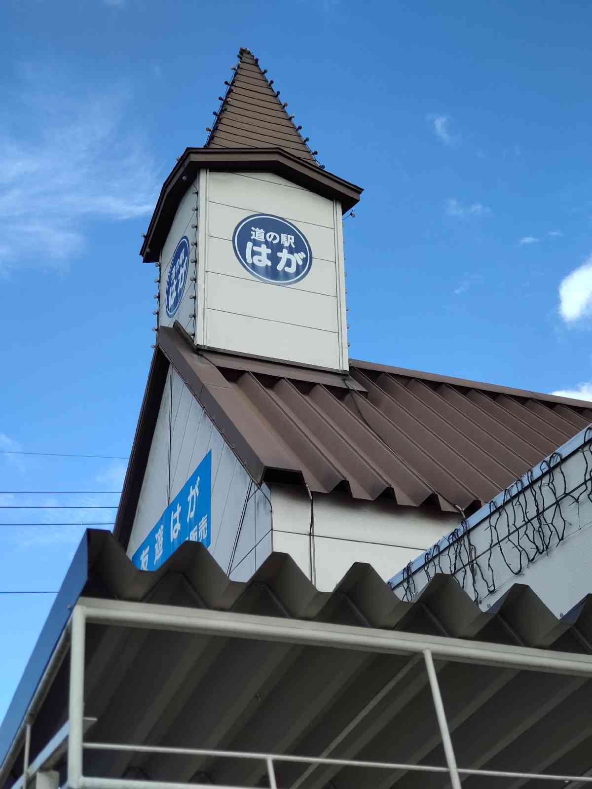 投稿された画像