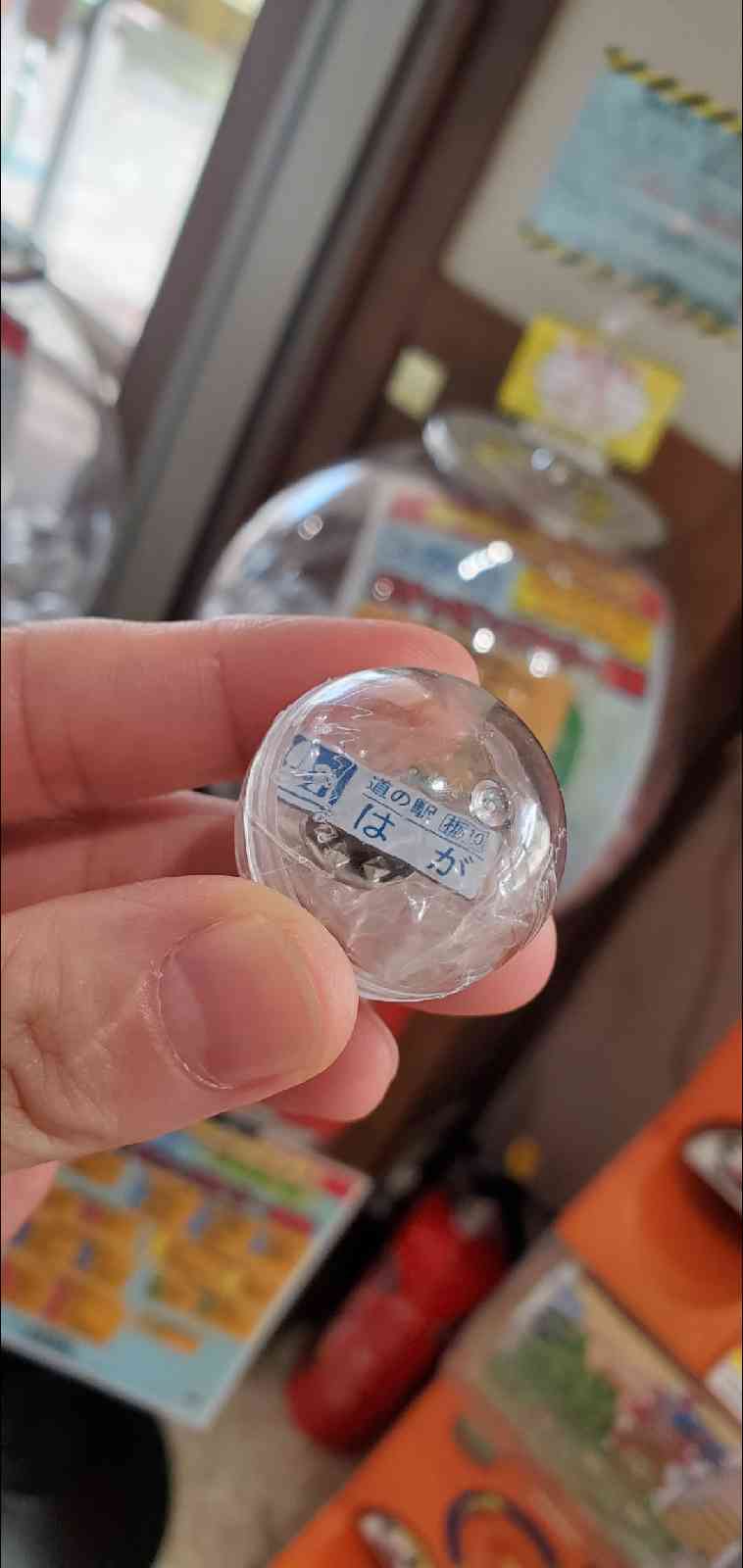 道の駅 はがの写真