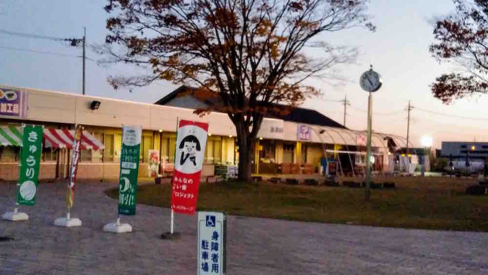 投稿された画像