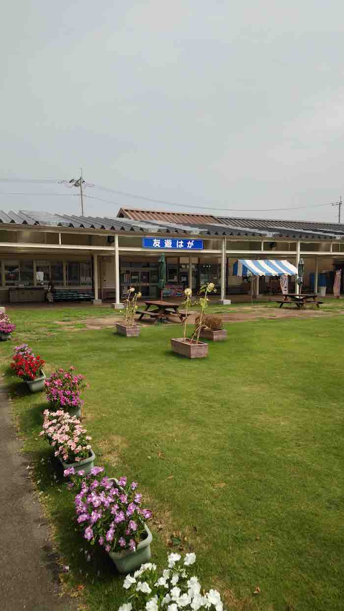 投稿された画像