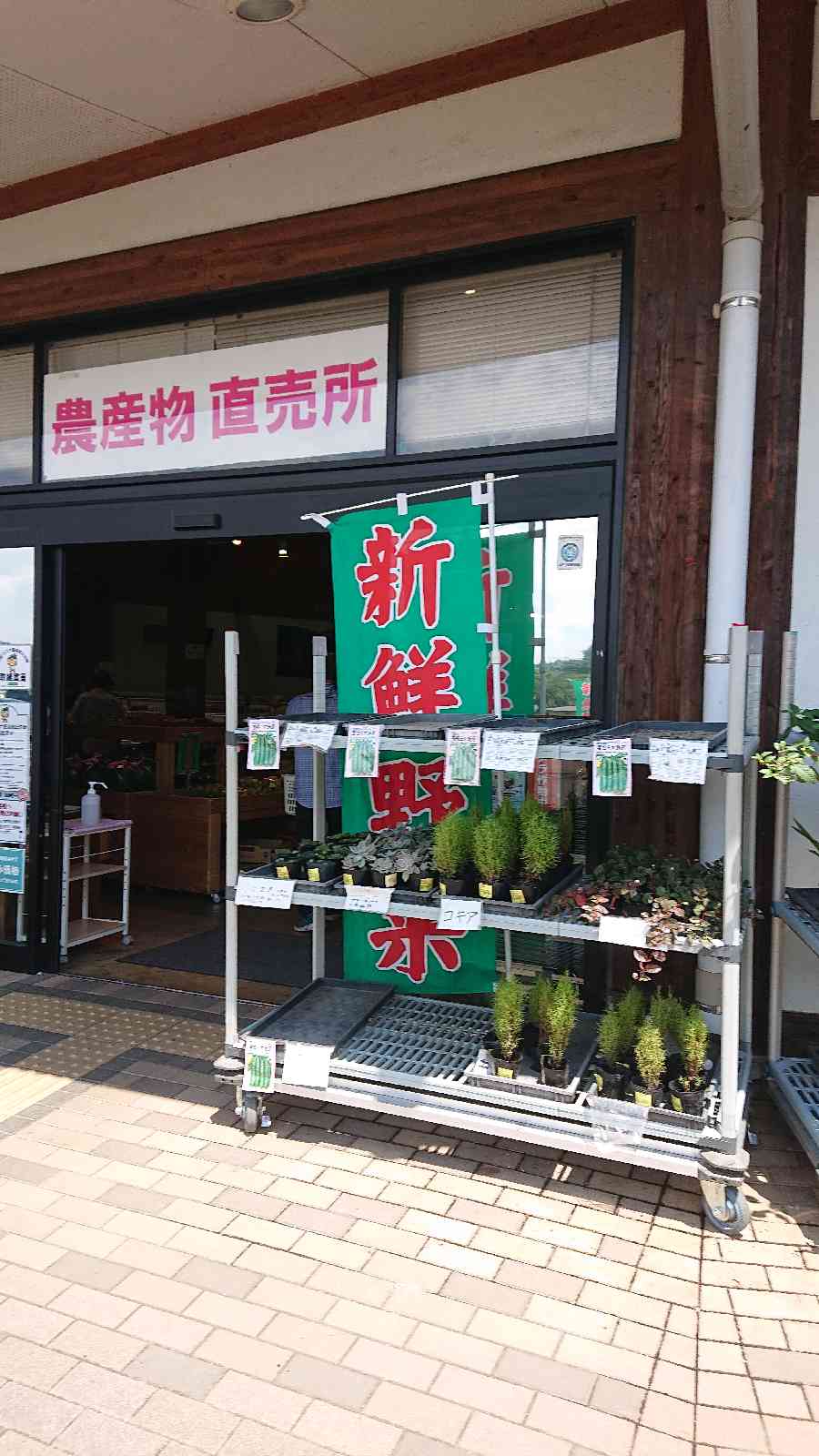 投稿された画像