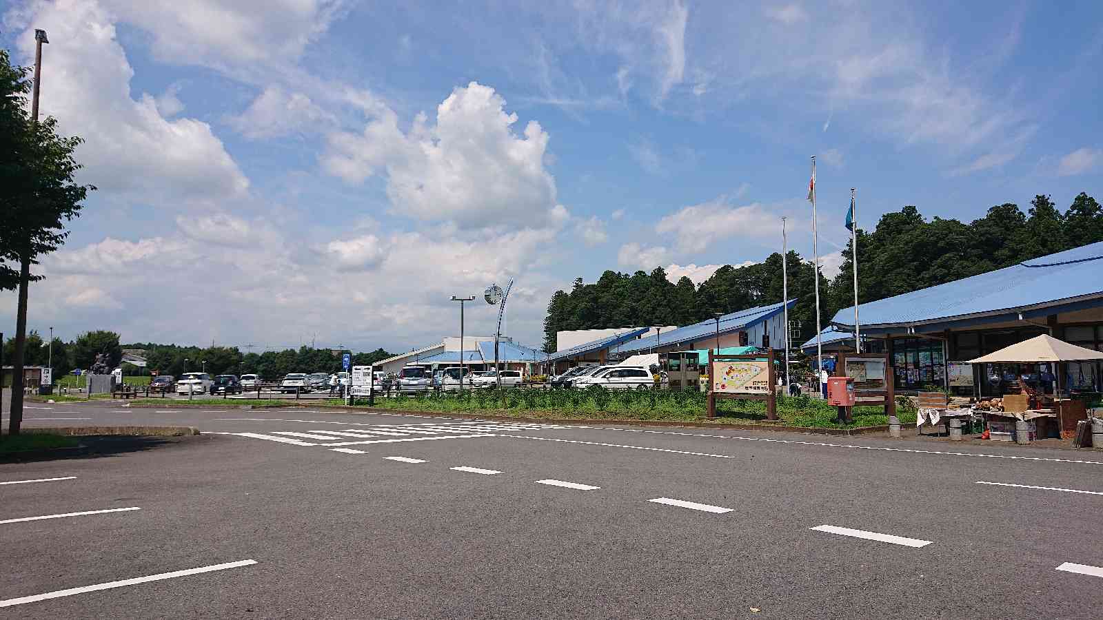 投稿された画像