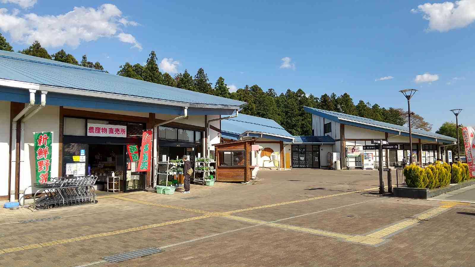 投稿された画像