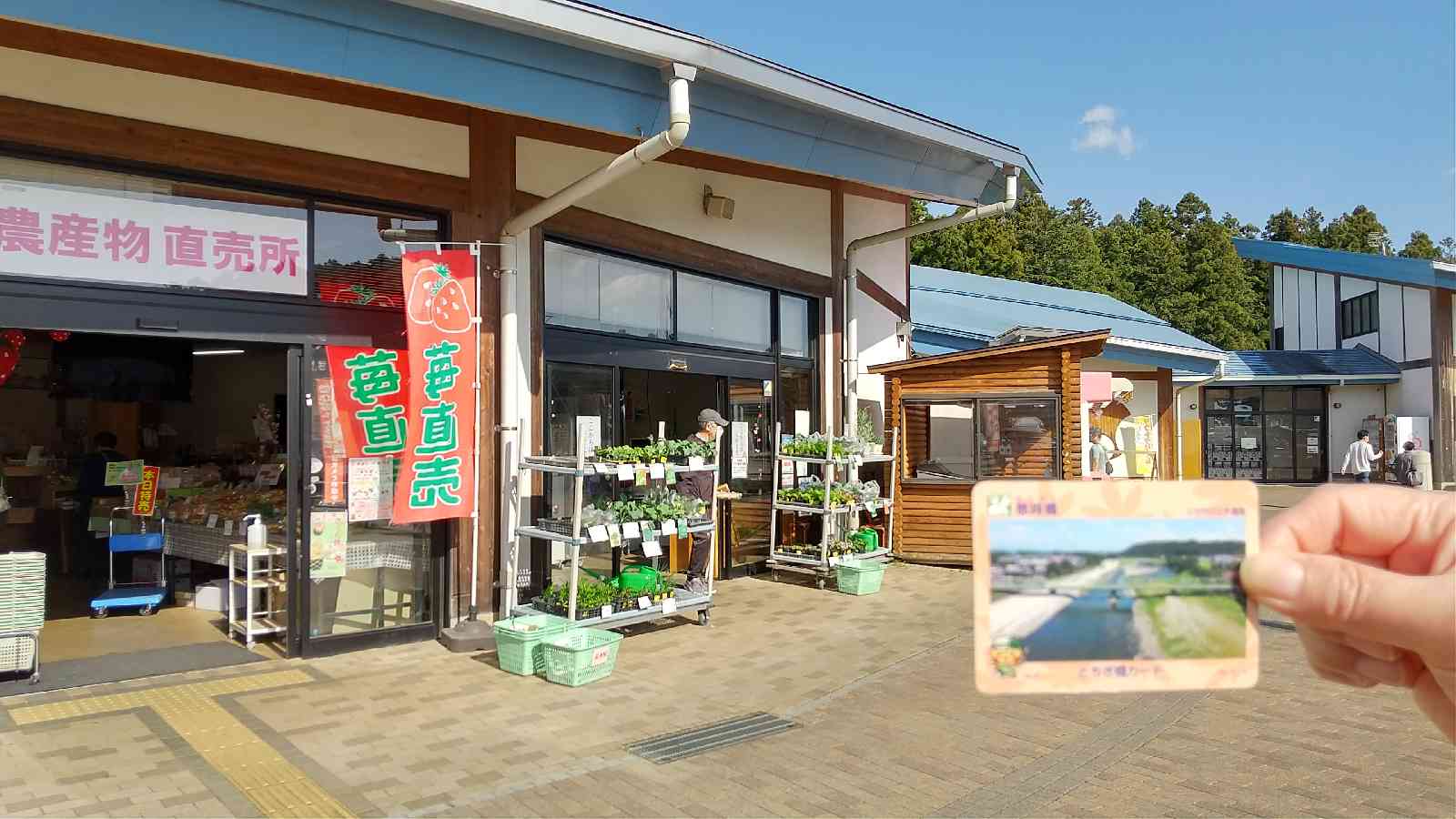 投稿された画像