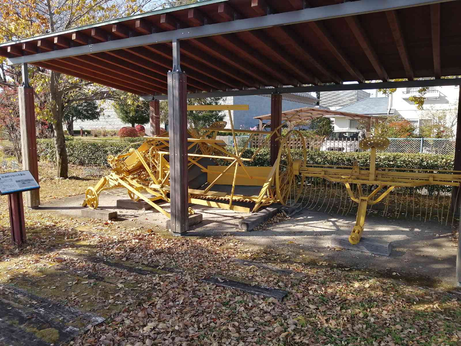 投稿された画像