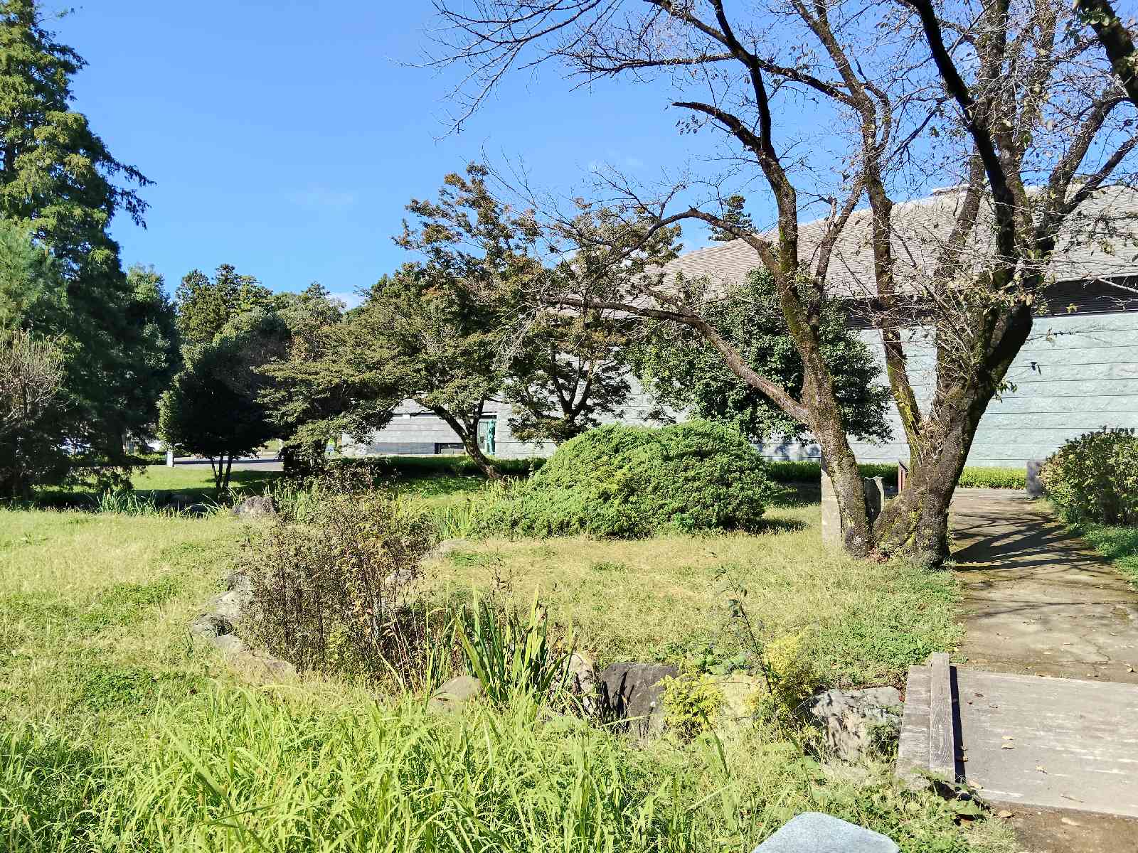 道の駅 那須野が原博物館の写真
