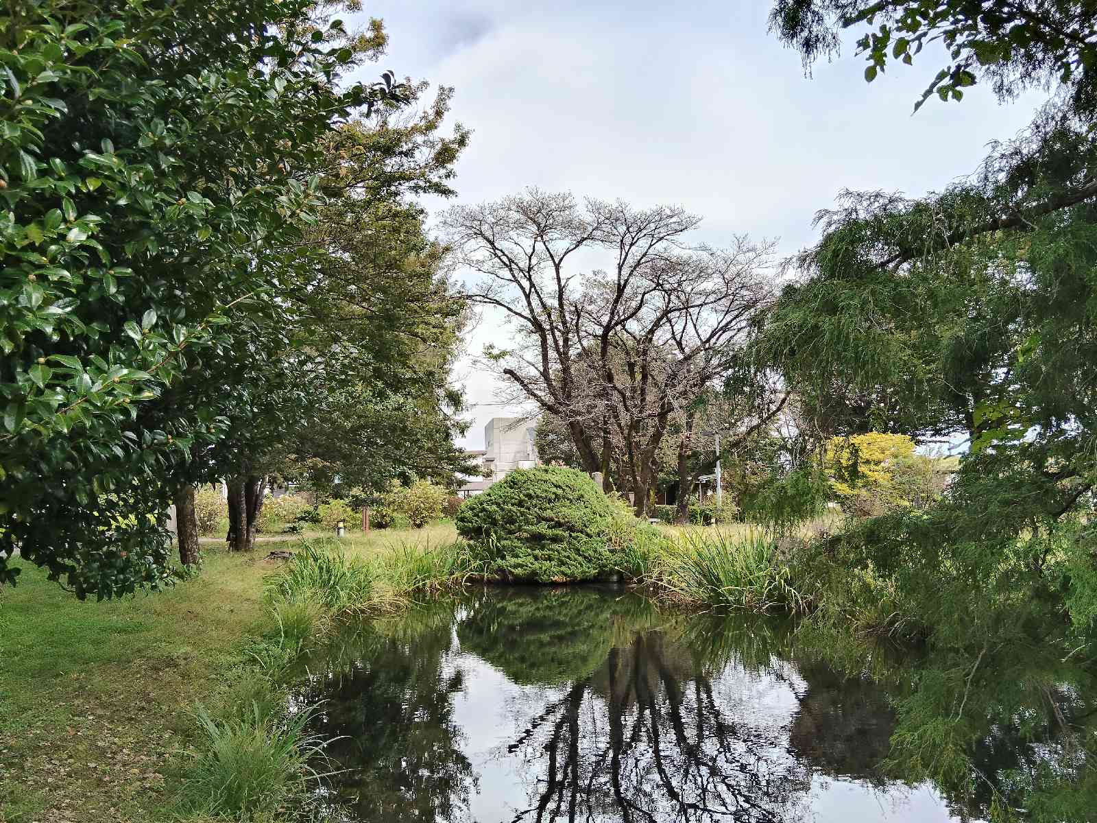 道の駅 那須野が原博物館の写真