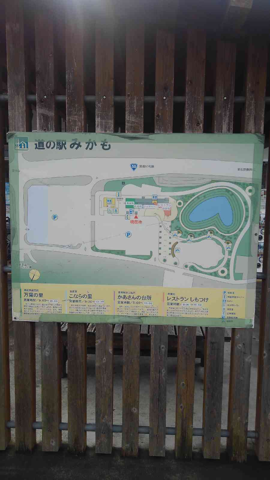 投稿された画像