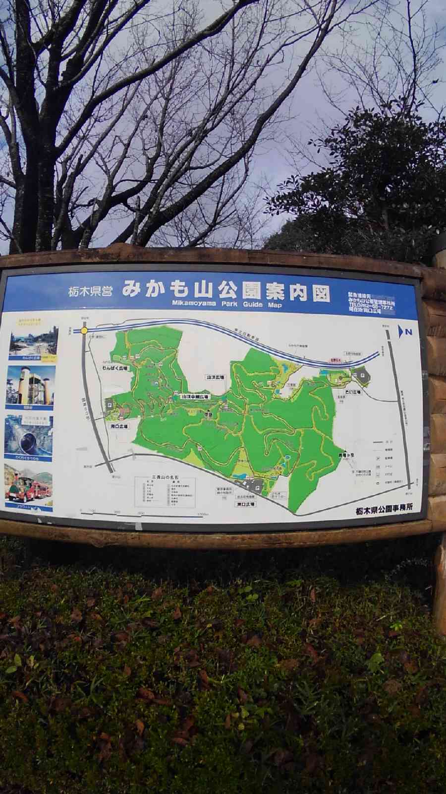 投稿された画像