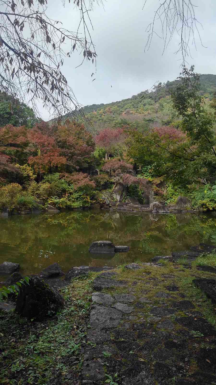 投稿された画像