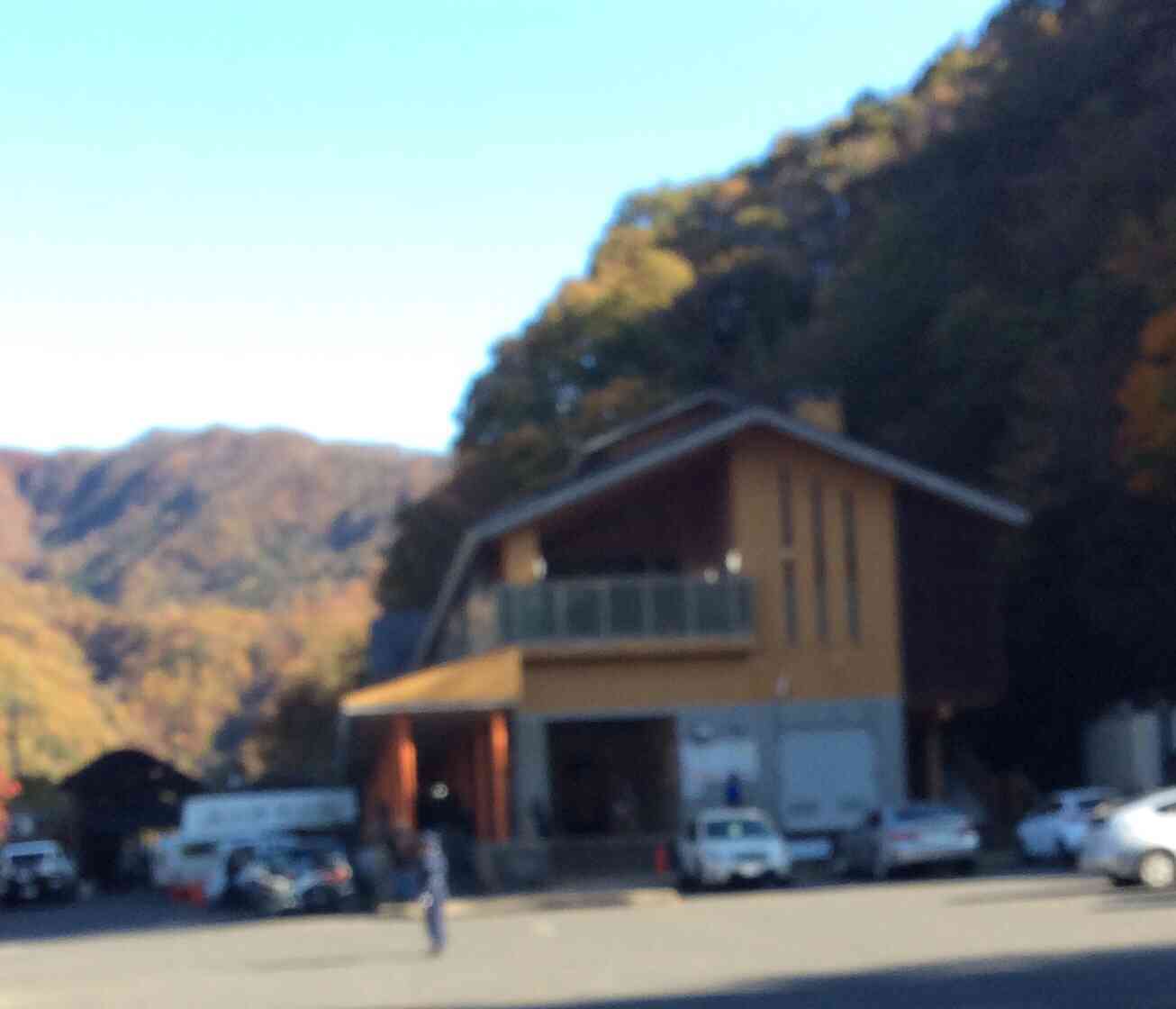 投稿された画像