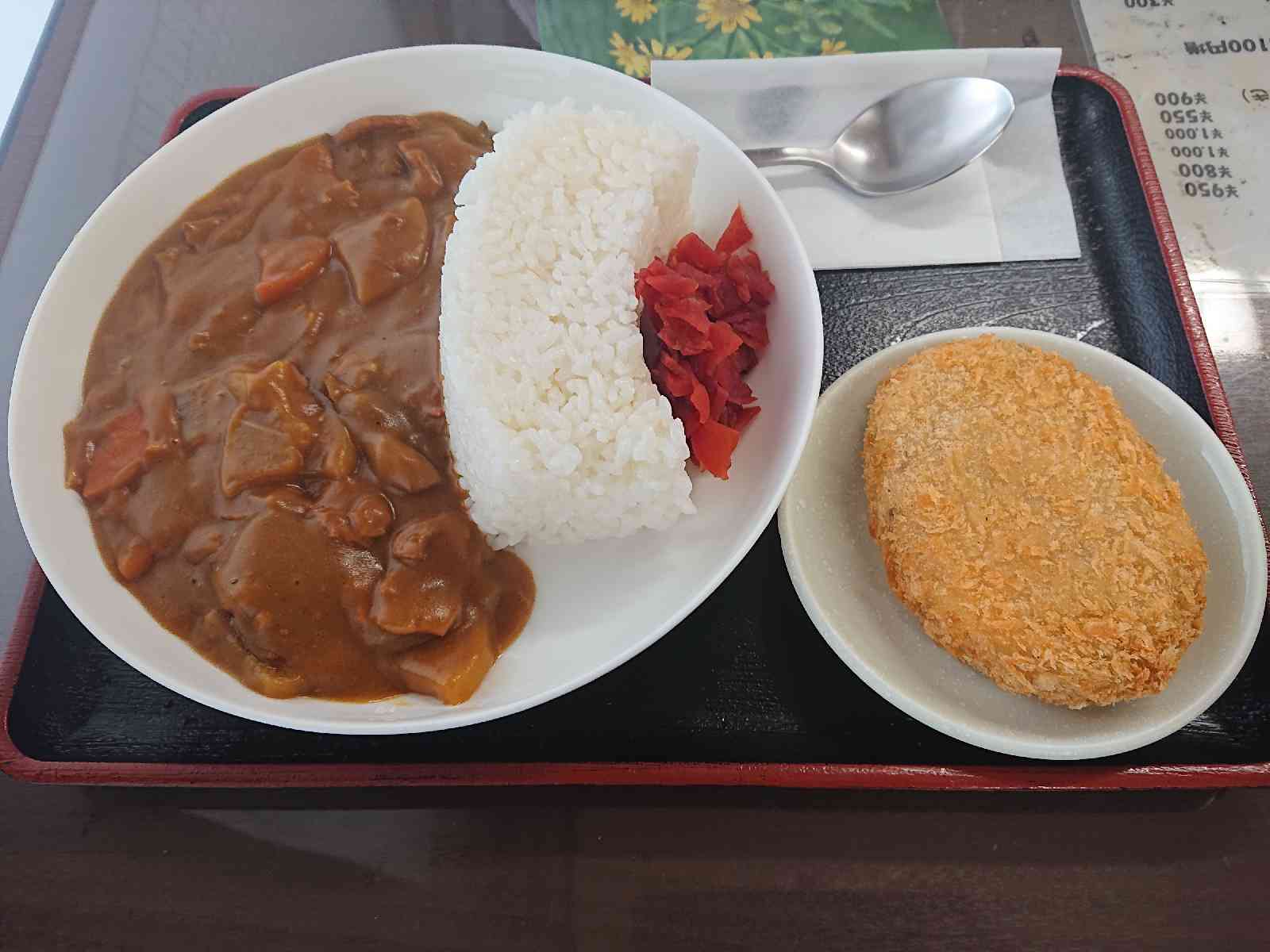 道の駅 湯西川の写真