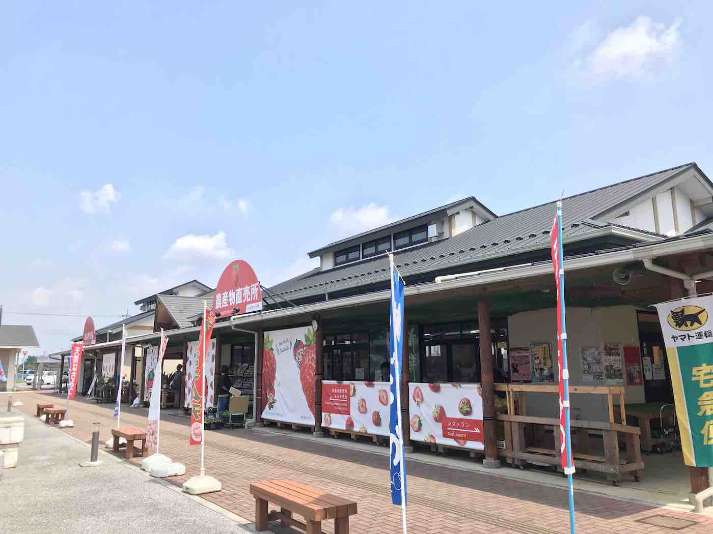 投稿された画像