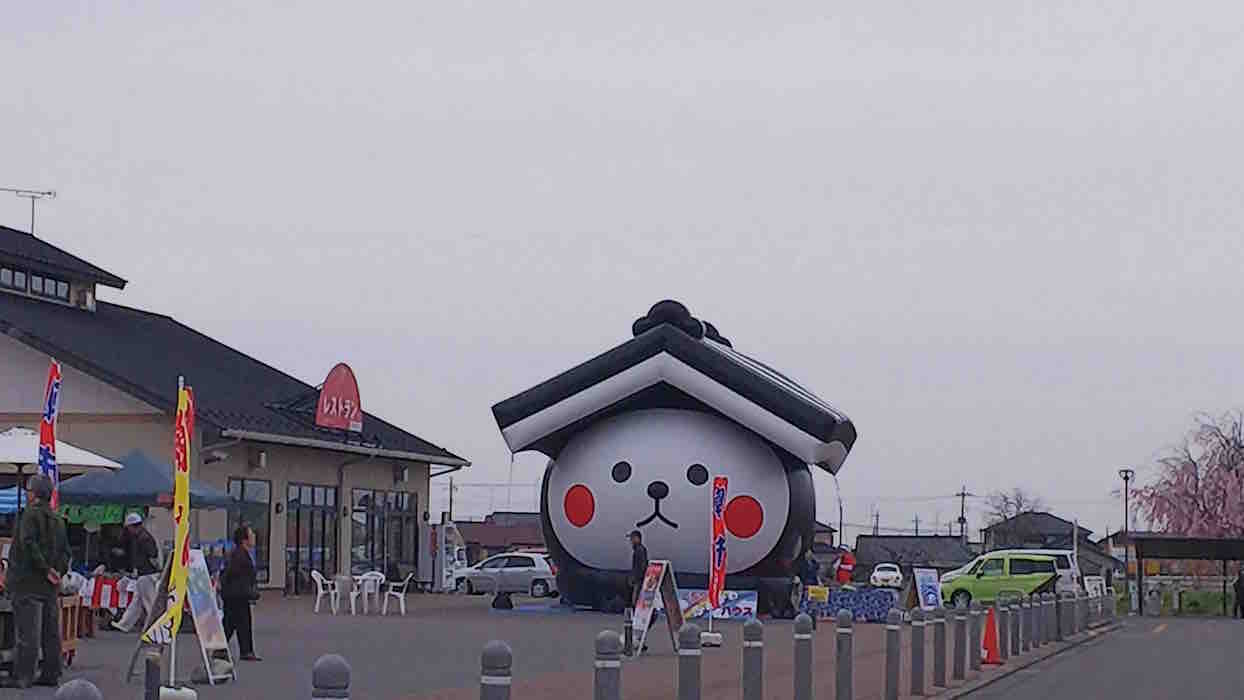 投稿された画像